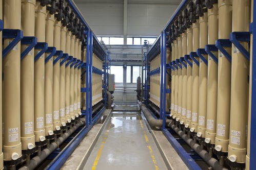 北京亦莊 綠色工廠數量領跑全市，技術開發驅動產業升級